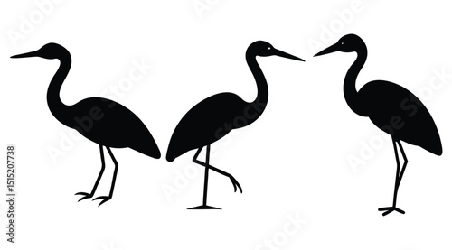 Heron Silhouettes, Bird Icons, Wading Bird Shapes.