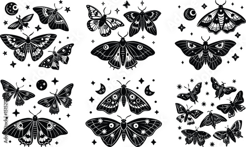 Moths and Moons Vector
