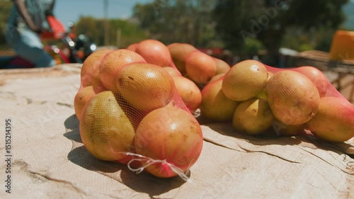 Close-up of mangoes in fruit nets on makeshift stall. Slow motion. Residents of mountain village come to local market to buy essentials and food items