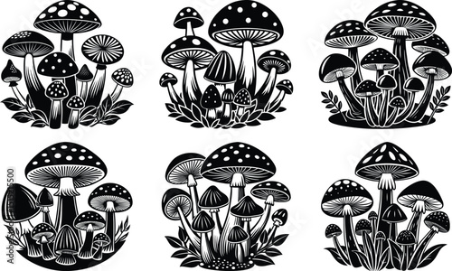 Mushrooms and Fungi Vector
