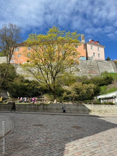 Altstadt von Tallinn (Estland)