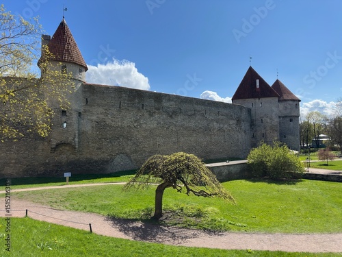 Altstadt von Tallinn (Estland)