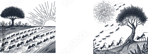 Set of Engraving  A Line of Ants Marching Up a Tree  Nature Inspired Vector Art for Wood, Glass, Etching Projects