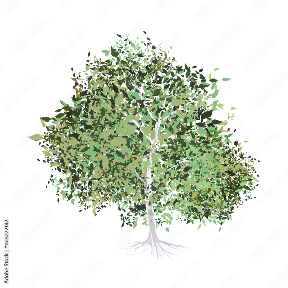 Fototapeta premium shady tree with roots without background