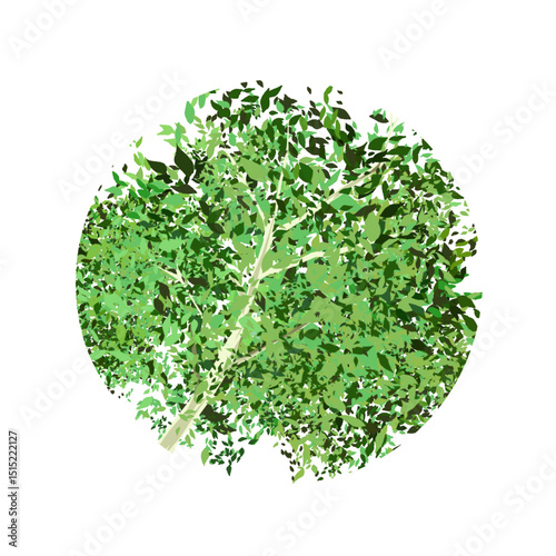 branched tree with leaves forming a circle without background