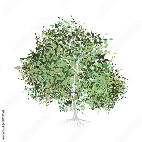 shady tree with roots without background