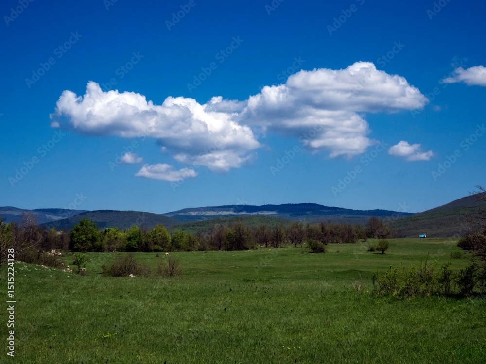 rural rural