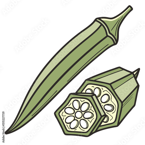 ladyfinger okra vegetable vector illustration .eps
