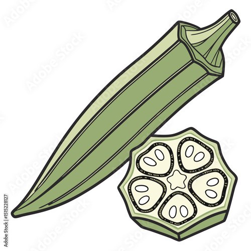ladyfinger okra vegetable vector illustration .eps