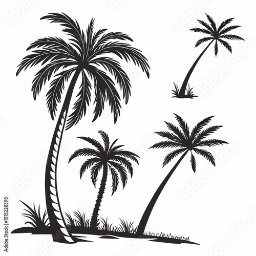 palm tree premium vector collection silhouette .eps