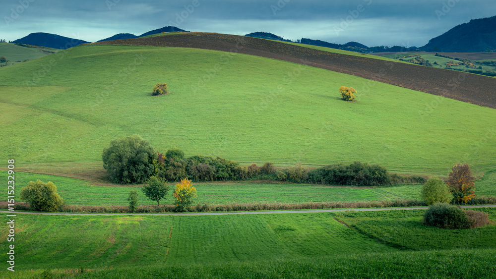 Naklejka premium Grassy hill with trees above horizontal road, mountains and clouds in the background