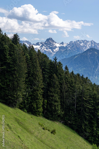 snow covered mountain called zimba seen from übersaxen behind a conifere forest with high trees photo