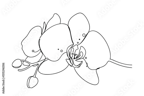 Elegant continuous line drawing of a single orchid flower