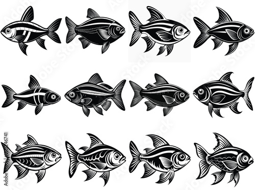 Neon tetra fish silhouette vector illustration isolated on white background.
