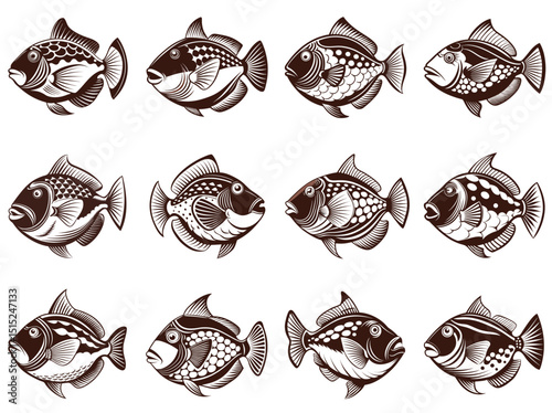 Triggerfish silhouette vector illustration isolated on white background.