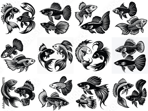 Guppy vs betta silhouette vector illustration isolated on white background.