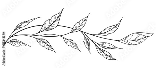 floral leaves line art isolated on white background. Divider doodle leaf and flowers, nature border decorative element vector illustration