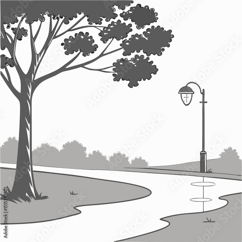 tree in the park