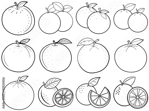 Orange outline vector illustration isolated on white background.