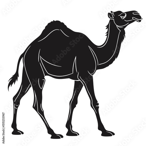 silhouette camel on white background