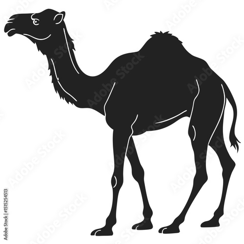 silhouette camel on white background