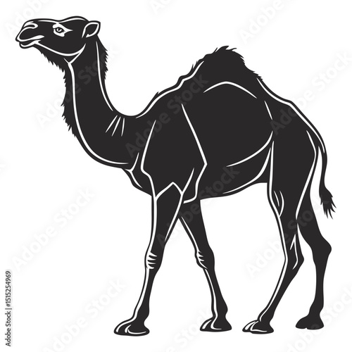 silhouette camel on white background