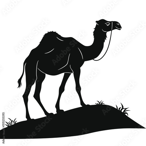silhouette camel on white background