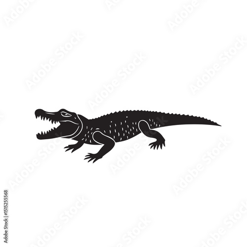 crocodile isolated on white background