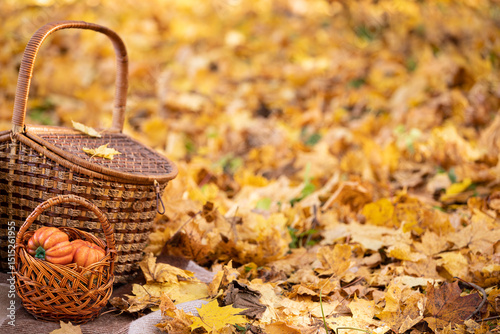 Basket and pumpkins for Thanksgiving and falling leaves in an autumn garden. Selective focus
