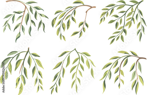bamboo Vectors illustrations
