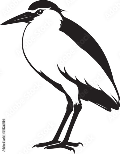 Night heron silhouette black and white, Black crowned bird silhouette elegant style