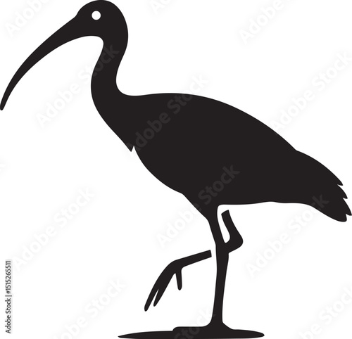Ibis bird bold silhouette vector, Wading bird profile clean black illustration