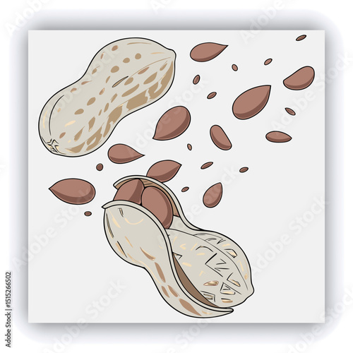 A split peanut pod, filled with scattered peanuts and peanut pieces, is shown in mid-air, with many pieces flying outward. The peanuts are a light brown color.  The pod is light beige, with a natural 