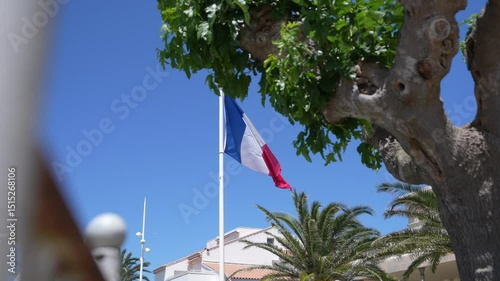 French Flag Waving in Summer Breeze with Palm Trees and Blue Sky in Mediterranean Town