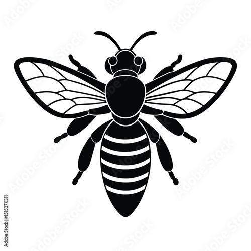 Vector illustration of a bee and wasp with detailed wings, perfect for insect and nature designs