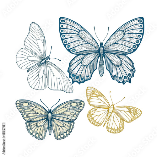 Set of butterflies outlines. Hand drawn illustration converted to vector