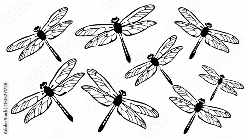 Black and white dragonfly illustration with transparency