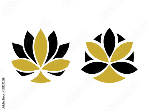 black and yellow butterfly