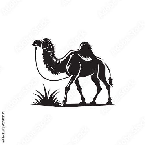 Arabian Camel Vector (3).eps