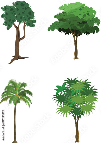 Cartoon Tree Vector Set with Coconut Tree and Leafy Forest Trees for Animation Background, Jungle Game Scene, Village Nature Illustration, Explainer Videos, and 2D Landscaping Design

