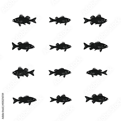 Twelve bass fish silhouettes engraving style set illustration