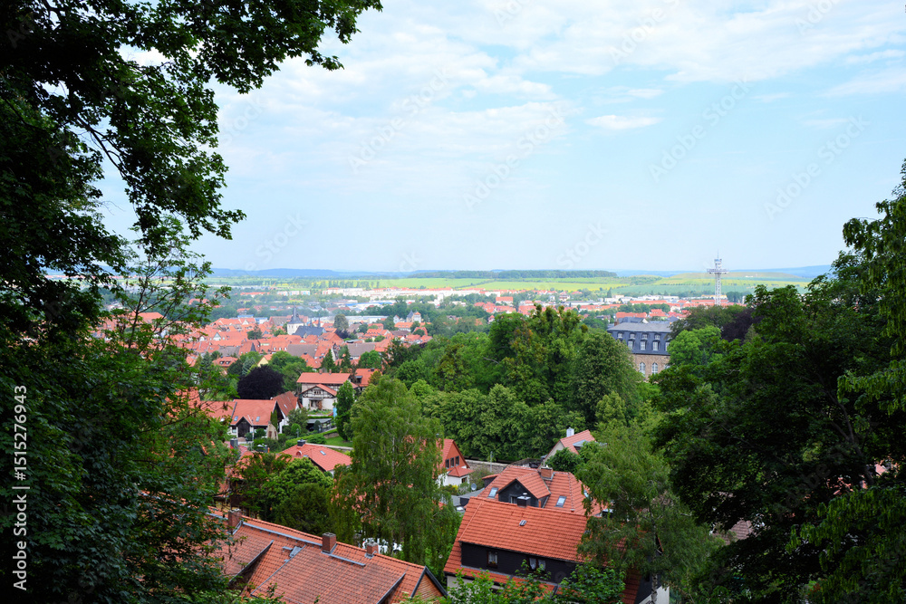 Fototapeta premium Stadt, Baum, Natur, Horizont, Himmel, Sommer