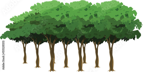 Cartoon Forest Tree Vector Set with Dense Green Tree Line for Animation Background, Game Environment, Explainer Video, 2D Nature Landscape, Jungle Scene or Educational Forest Illustration

