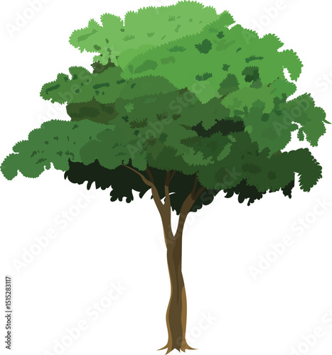 Cartoon Green Tree Vector with Tall Thin Trunk and Dense Foliage for Animation Background, Nature Scene, Forest Game Environment, Village Illustration or Educational Explainer Design

