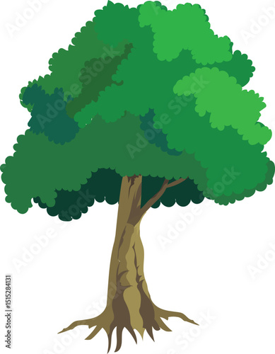 Cartoon Tree Vector with Green Foliage, Thick Trunk and Exposed Roots for Animation Background, Educational Nature Scene, Forest Game Asset or Explainer Video Illustration

