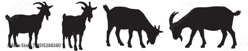 Goat silhouettes: Silhouetted goats stand in the foreground, showcasing their forms against a light backdrop, the simple yet detailed outlines captures the essence of rural life and farm animals.