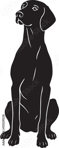 Vizsla dog sitting black and white silhouette, Calm hunting dog silhouette relaxed pose
