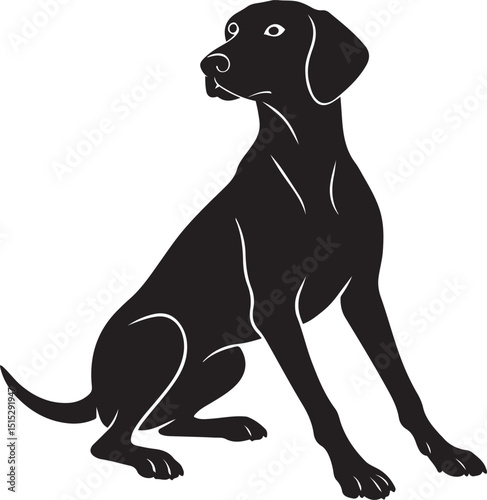 Sitting Vizsla dog silhouette in black, Relaxed canine pose black and white