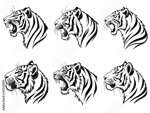 Tiger Face