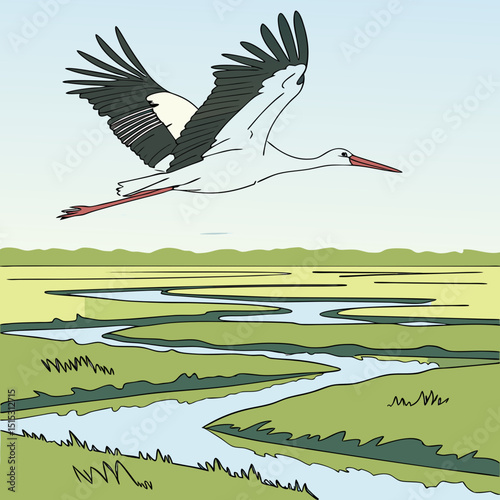 Majestic white stork soaring over serene wetlands, captured in a detailed digital illustration.